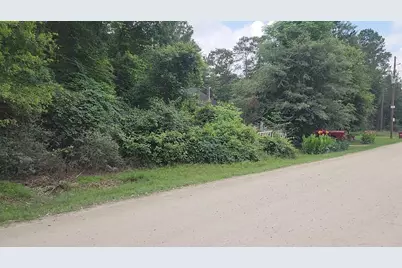 Lot 5 B55 Tawnyberry Lane, Plantersville, TX 77363 - Photo 9