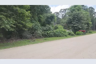 Lot 5 B55 Tawnyberry Lane, Plantersville, TX 77363 - Photo 5