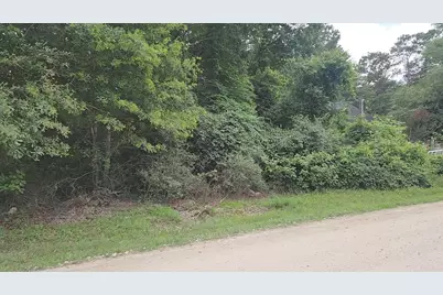Lot 5 B55 Tawnyberry Lane, Plantersville, TX 77363 - Photo 7