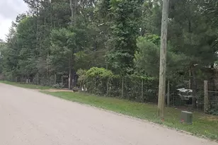 Lot 5 B55 Tawnyberry Ln, Plantersville, TX 77363 - Photo 1