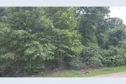 Lot 5 B55 Tawnyberry Lane, Plantersville, TX 77363 - Photo 15