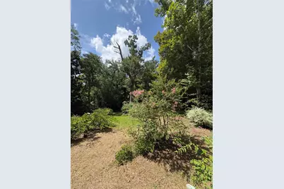 213 W Abbey Street, Livingston, TX 77351 - Photo 33