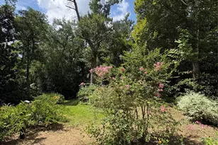 213 W Abbey St, Livingston, TX 77351 - Photo 33