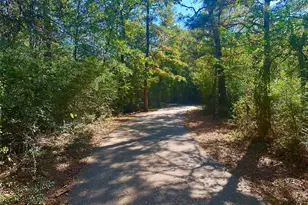 3318 Iron Pne Ln, Conroe, TX 77301 - Photo 35