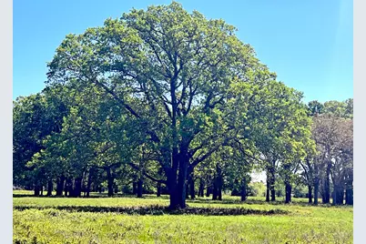 10698 Fm 1227, Navasota, TX 77868 - Photo 9