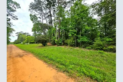 0 Dogwood Lake Drive, Livingston, TX 77351 - Photo 3