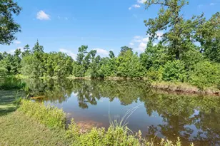22398 Pineridge Dr, Porter, TX 77365 - Photo 41
