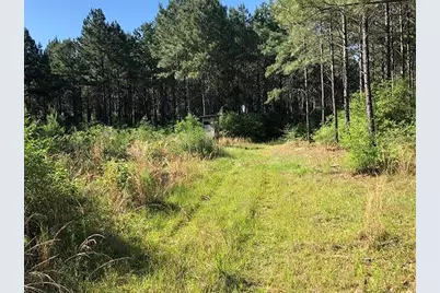 9490 S State Highway 19, Lovelady, TX 75851 - Photo 29