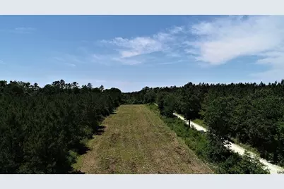 9490 S State Highway 19, Lovelady, TX 75851 - Photo 17