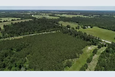 9490 S State Highway 19, Lovelady, TX 75851 - Photo 21