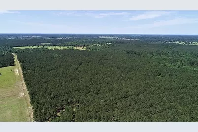 9490 S State Highway 19, Lovelady, TX 75851 - Photo 7