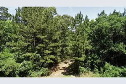 9490 S State Highway 19, Lovelady, TX 75851 - Photo 5