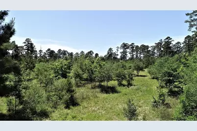 9490 S State Highway 19, Lovelady, TX 75851 - Photo 9
