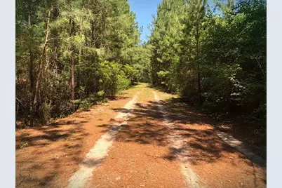 9490 S State Highway 19, Lovelady, TX 75851 - Photo 27