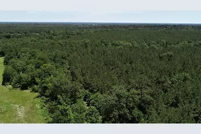 9490 S State Highway 19, Lovelady, TX 75851 - Photo 19