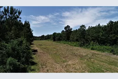 9490 S State Highway 19, Lovelady, TX 75851 - Photo 15
