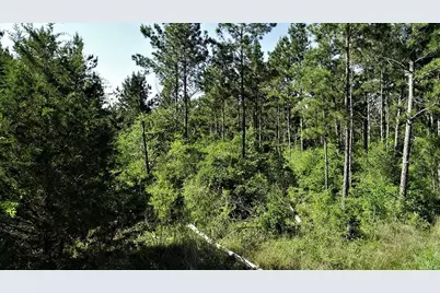 9490 S State Highway 19, Lovelady, TX 75851 - Photo 3