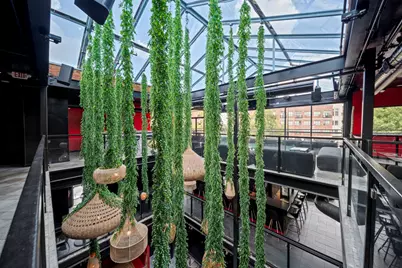 1916 Baldwin, Houston, TX 77002 - Photo 19