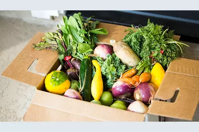 3015 Tulip Terrace Trail, Richmond, TX 77406 - Photo 11