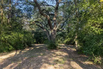 5501 Mach Road, La Grange, TX 78945 - Photo 29