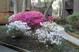 11711 Memorial Dr, Houston, TX 77024 - Photo 17