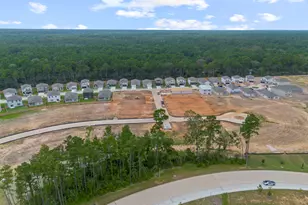 24239 Dewey Trl, Magnolia, TX 77355 - Photo 19