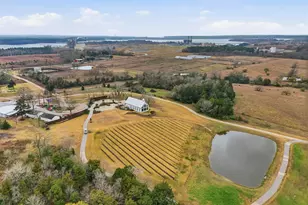 14426 Gdn Grv Ct, Willis, TX 77318 - Photo 39