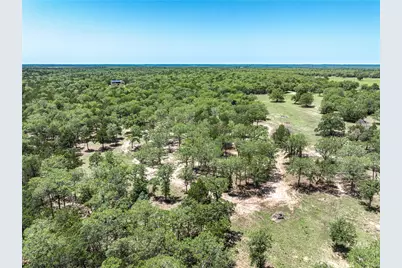 4638 Red Hollow Lane, Smithville, TX 78957 - Photo 7