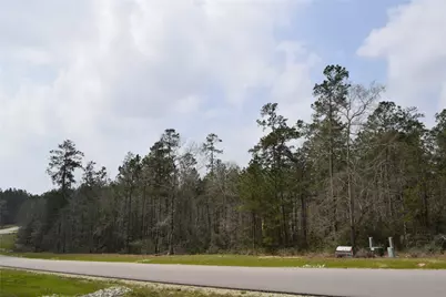 309 Exploration Road, Willis, TX 77378 - Photo 9