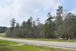 309 Exploration Rd, Willis, TX 77378 - Photo 1