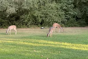 8844 Whiddon Road S, Chappell Hill, TX 77426 - Photo 1