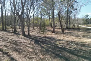 000 Red Oak Dr, Plantersville, TX 77363 - Photo 1