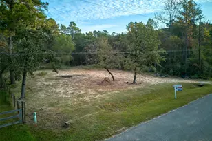 17910 Sea Turtle Ct, Magnolia, TX 77355 - Photo 1
