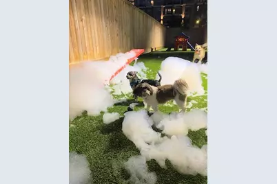 160 Birdsall Street #1441, Houston, TX 77007 - Photo 11