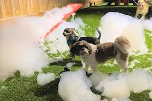 160 Birdsall St, Houston, TX 77007 - Photo 11