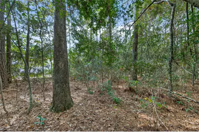 Lot 453 North Woods, Cleveland, TX 77328 - Photo 5