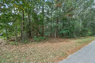 Lot 453 North Woods, Cleveland, TX 77328 - Photo 7