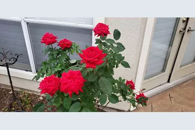 1523 Ashbury Park Drive, Houston, TX 77077 - Photo 29