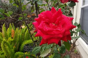 1523 Ashbury Park Dr, Houston, TX 77077 - Photo 25