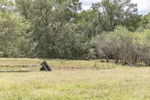 1276 Co Rd 216, Hallettsville, TX 77964 - Photo 7