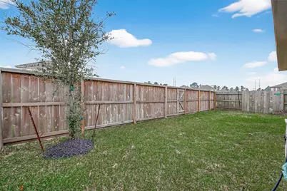 1410 Cecilia Vines Drive, Conroe, TX 77301 - Photo 43