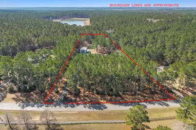 10102 Amelia Drive, Anderson, TX 77830 - Photo 43