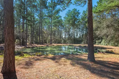 10102 Amelia Drive, Anderson, TX 77830 - Photo 33