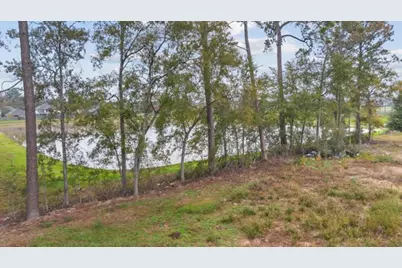 21225 W Hammond Drive, Porter, TX 77365 - Photo 5