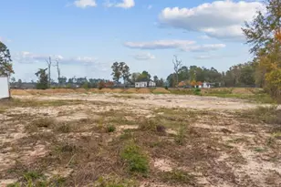 21225 W Hammond Dr, Porter, TX 77365 - Photo 19