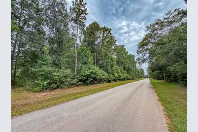 19410 Veterans Road, Magnolia, TX 77355 - Photo 9
