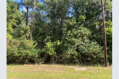 19410 Veterans Road, Magnolia, TX 77355 - Photo 3