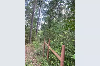 19410 Veterans Road, Magnolia, TX 77355 - Photo 7