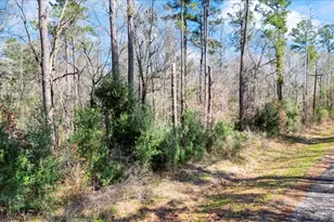 Tbd N Essex Dr, Conroe, TX 77302 - Photo 7