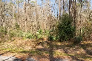 Tbd N Essex Dr, Conroe, TX 77302 - Photo 21